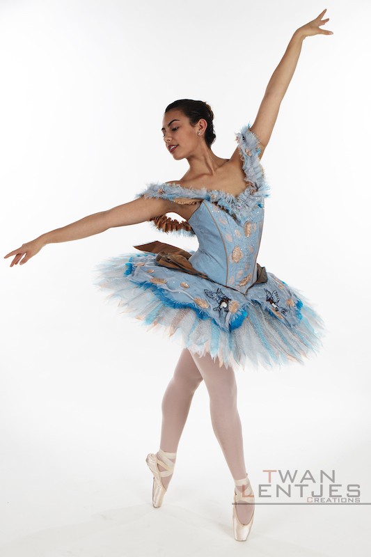 Blue Bird tutu